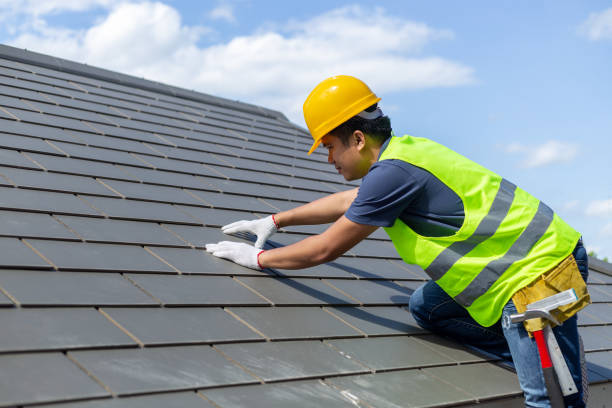 Best Storm Damage Roof Repair  in Middlebush, NJ